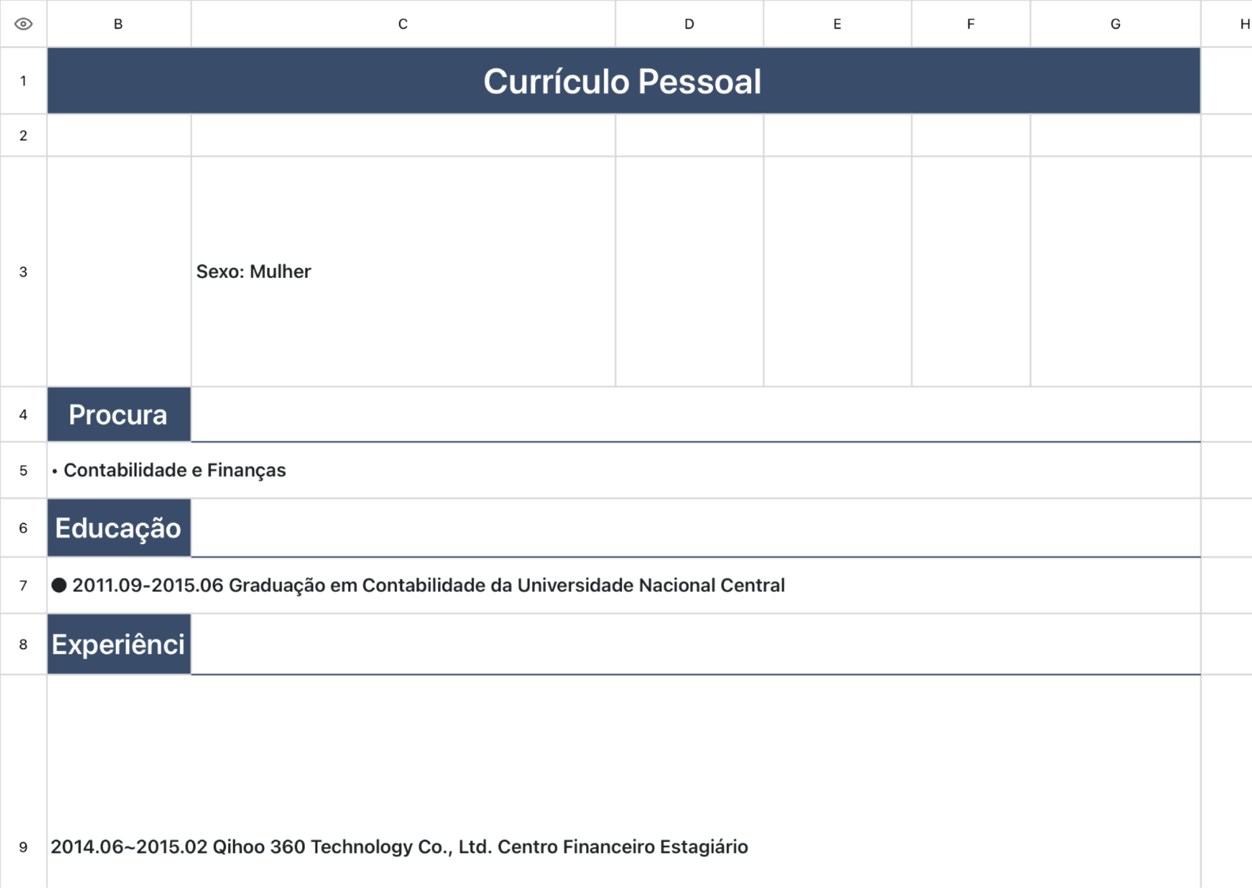 Contabilidade Finanças Currículo Pessoal